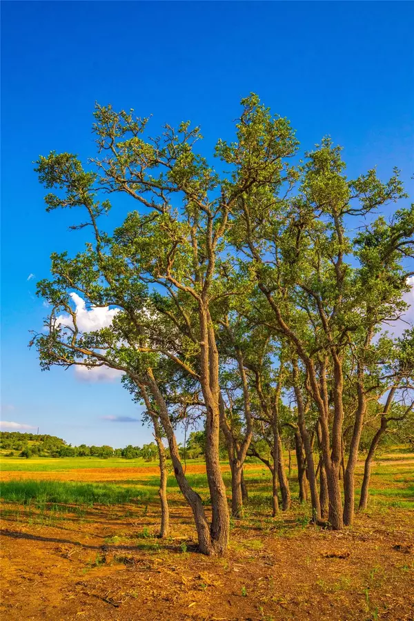 Dripping Springs, TX 78676,Address not disclosed