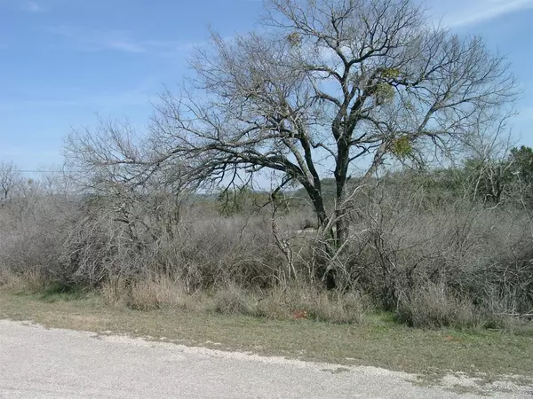 Spicewood, TX 78669,Address not disclosed