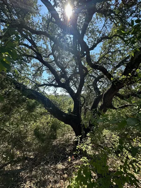 8503 Talon CIR, Lago Vista, TX 78645