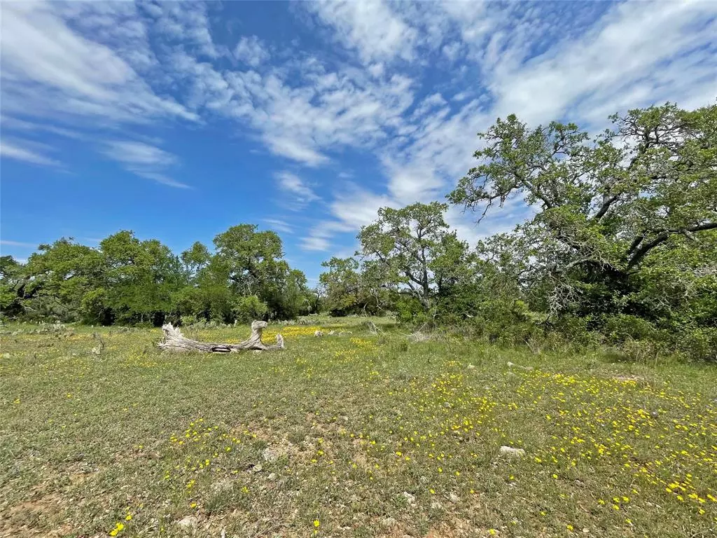 Burnet, TX 78611,000 County Road 116B (Tract 9)