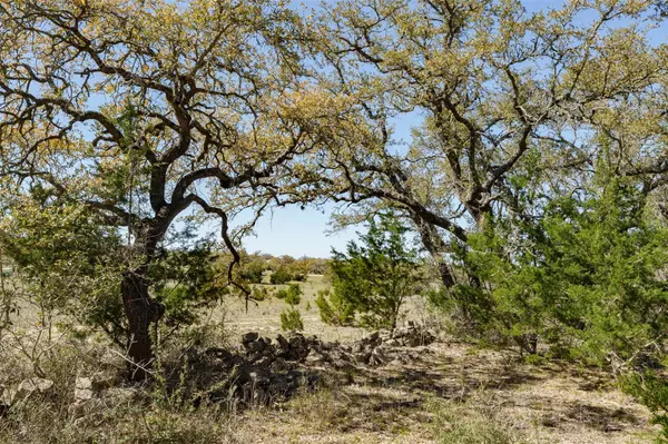 Round Mountain, TX 78663,1440 Stone Ridge Mountain DR