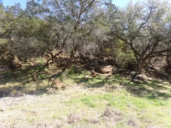 Burnet, TX 78611,TBD Lot 24 Sunset Cliff RD