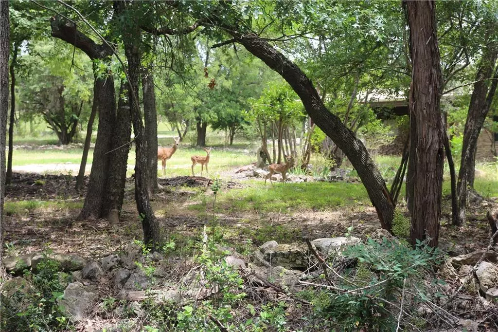 Austin, TX 78737,9901 Ledgestone TER