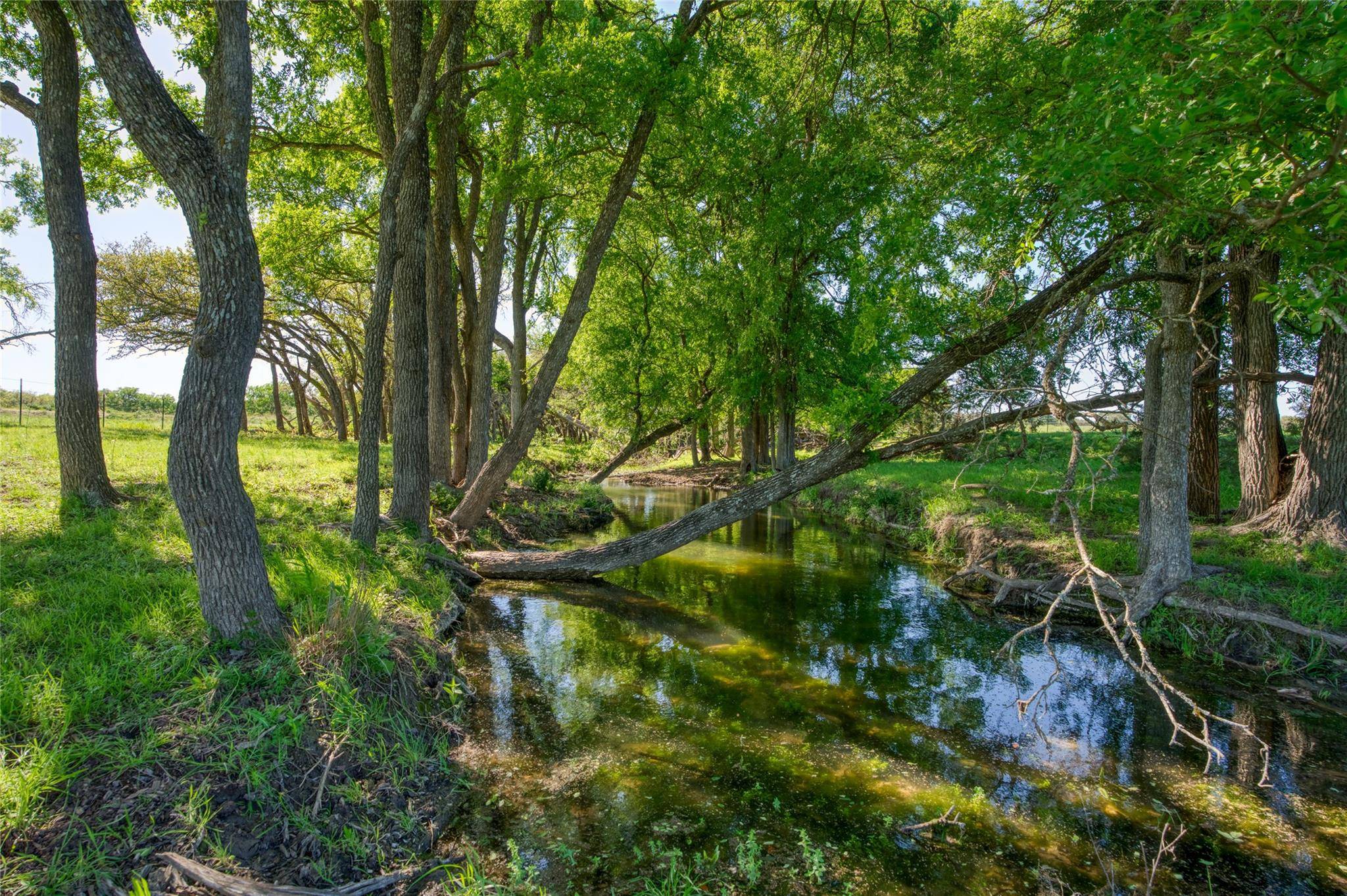 Briggs, TX 78608,191 Pivot CIR