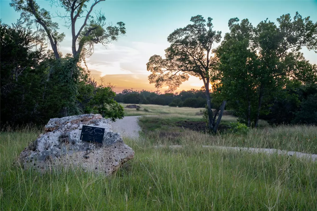 Driftwood, TX 78619,Lot 2 Bluff Springs DR