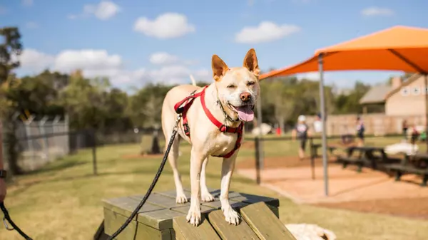 Liberty Hill, TX 78642,138 Oswalt WAY