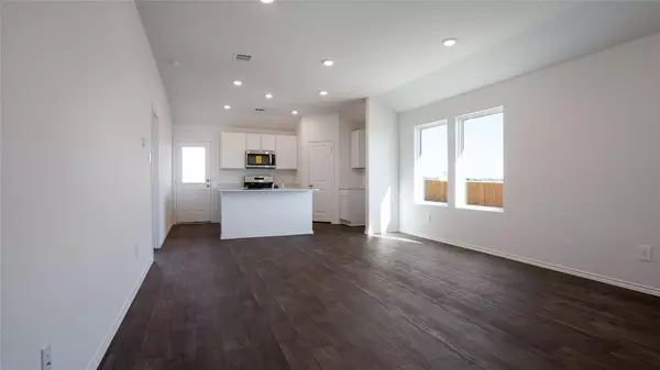 Uhland, TX 78640,164 Celosia LOOP