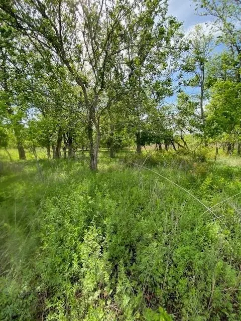 Martindale, TX 78655,00 Fm-1979