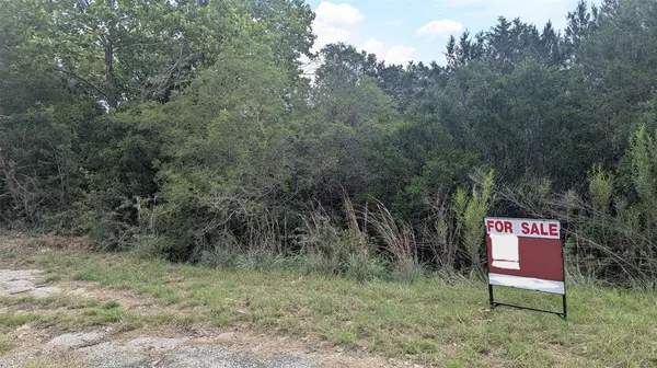20304 Lexington CV,  Leander,  TX 78645