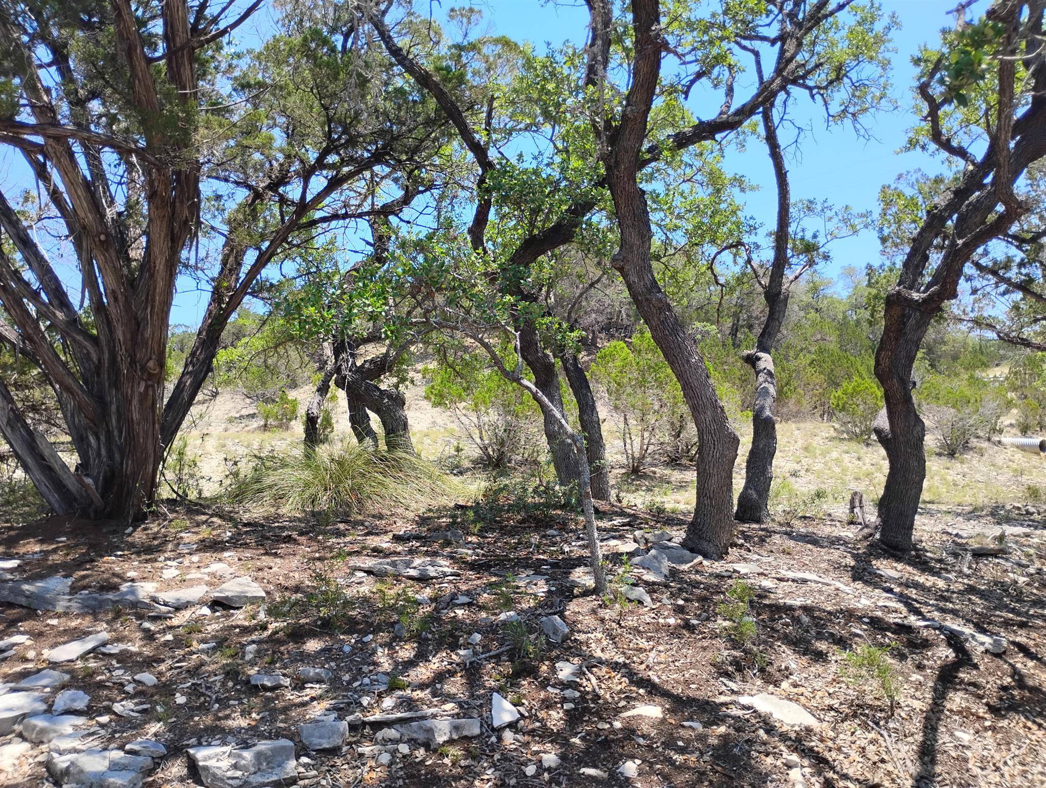 Bandera, TX 78003,21 & 22 Fossil Rock RD