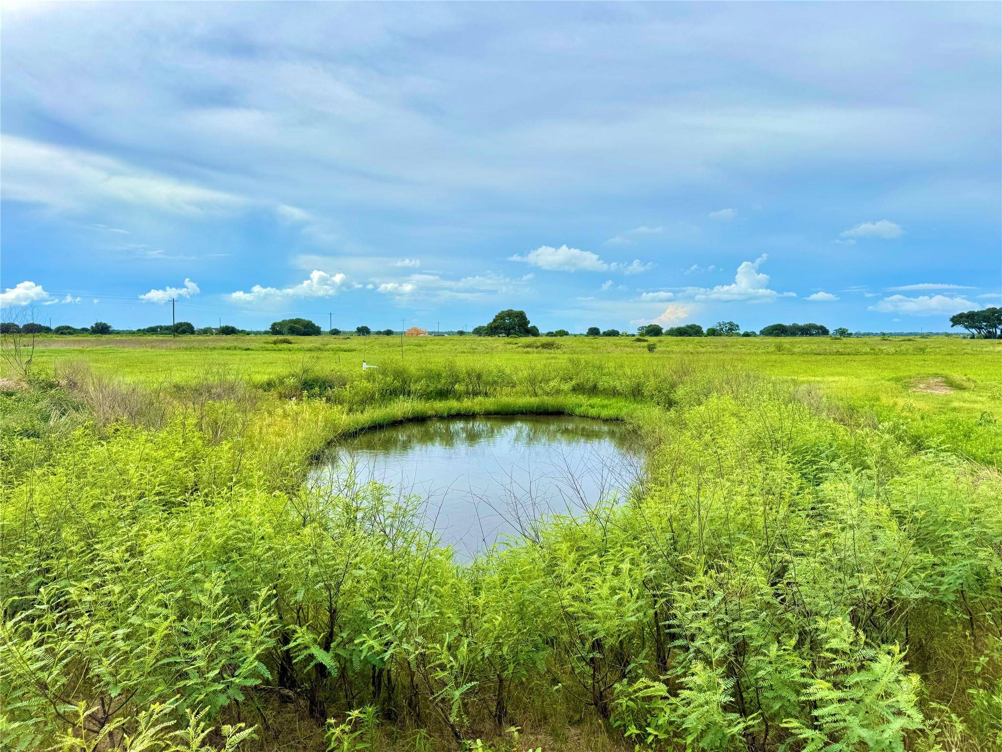 TBD Tract 105 Pin Tail LN, Columbus, TX 78934