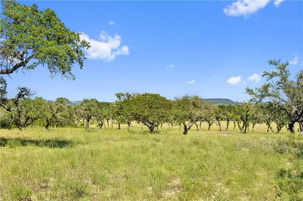 Lot 48 Stoneridge Mountain DR,  Round Mountain,  TX 78663