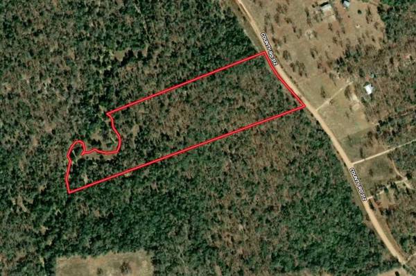 Lot #6 County Road 312, Thrall, TX 76578