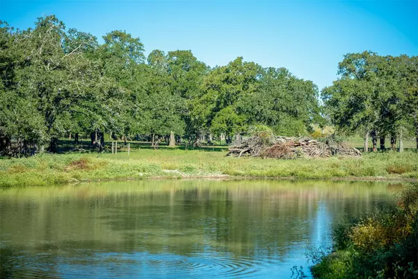 Thrall, TX 76878,4300 County Road 481