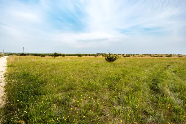 Lometa, TX 76853,1034 County Road 2109