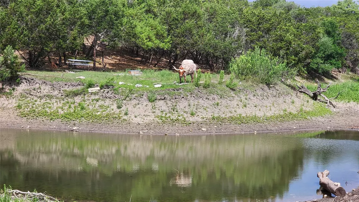 Dripping Springs, TX 78620,110 Longhorn LN