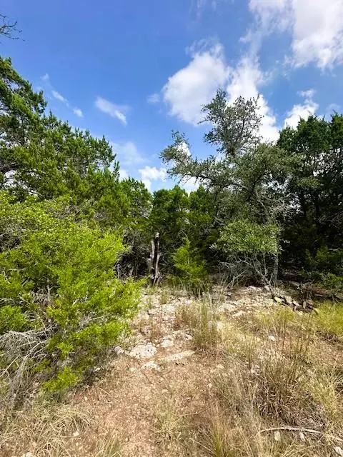 Fischer, TX 78623,TBD LOT 4 Royal Eagle DR