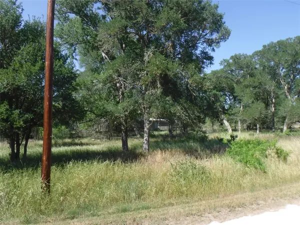 Smithville, TX 78957,000 Winding LN