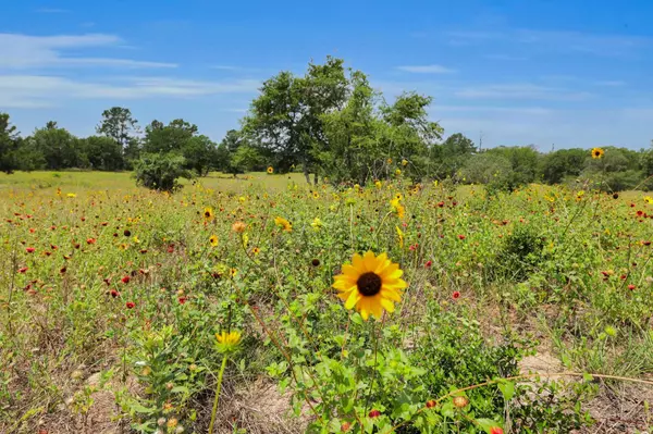 Rosanky, TX 78953,234 Sandy RD