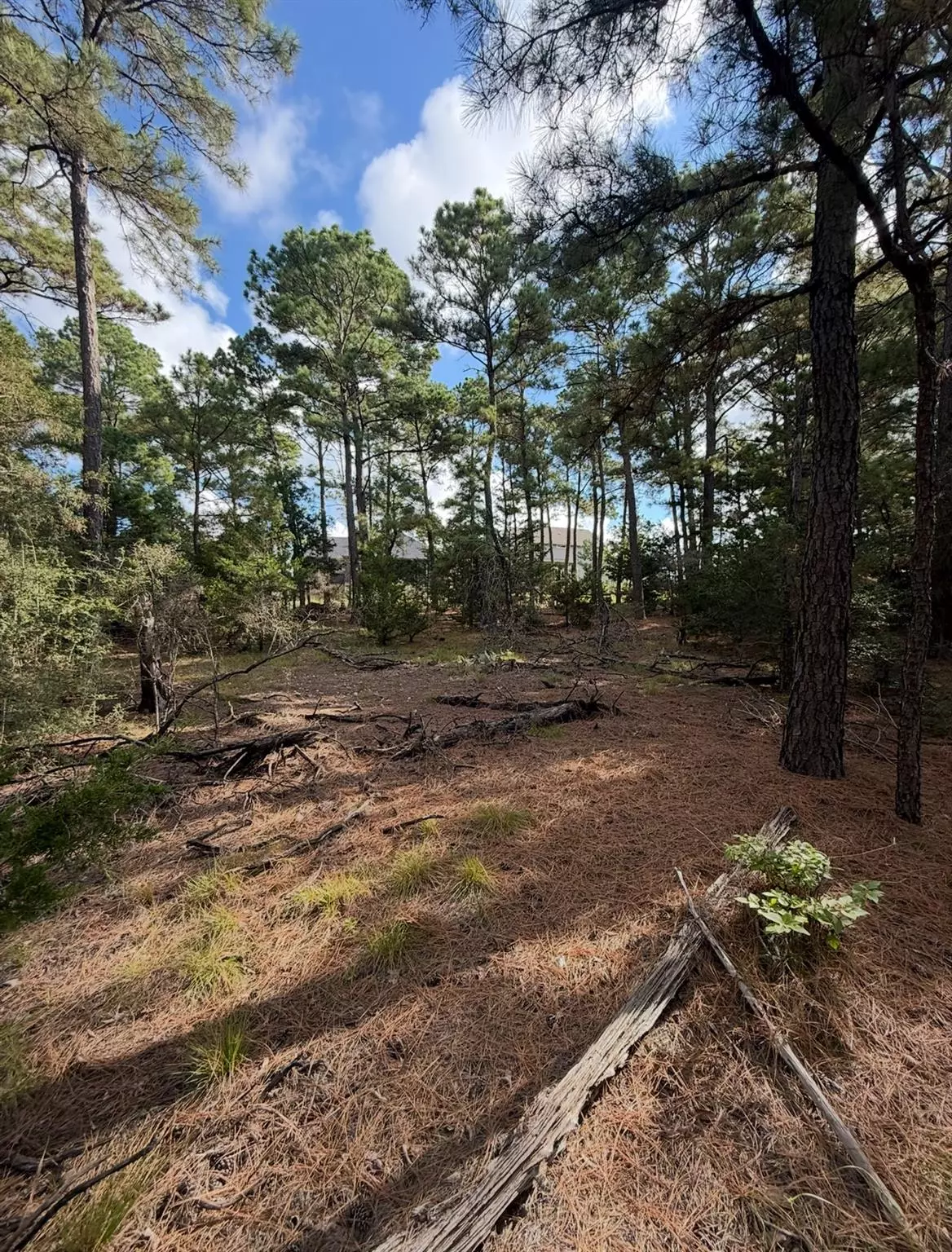 Bastrop, TX 78602,140 Lamaloa LN