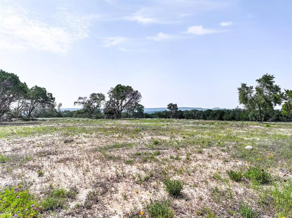 Wimberley, TX 78676,TBD Gold Nugget RD