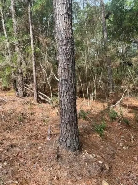 Lot 345 Wainee DR, Bastrop, TX 78602