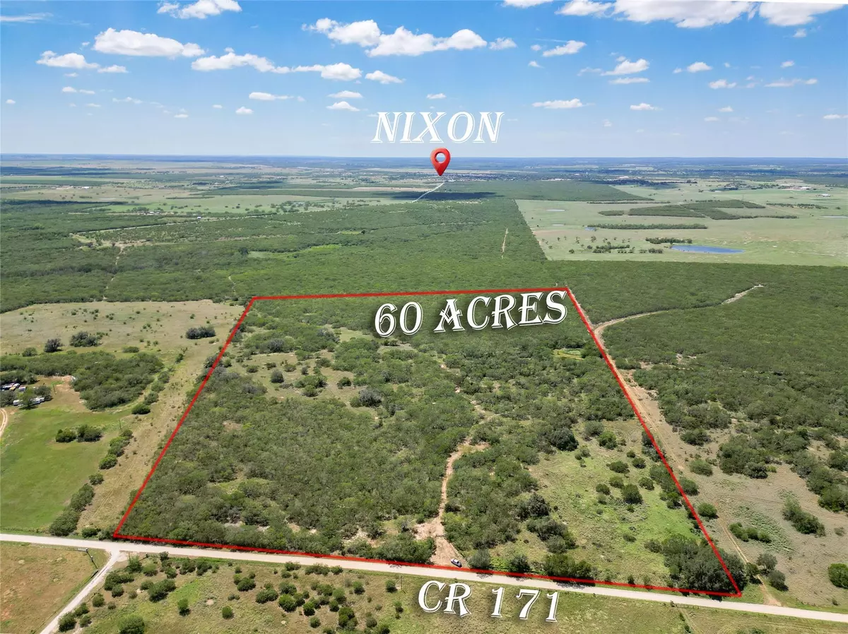 Nixon, TX 78140,TBD County Rd 171 RD