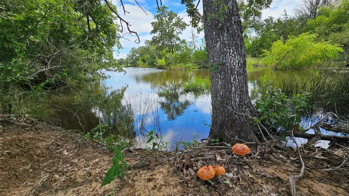 Thrall, TX 76578,2087 CR 481 Tract 2