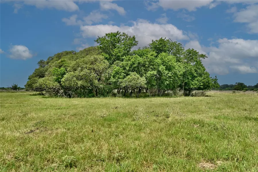 000 FM 609, Flatonia, TX 78941