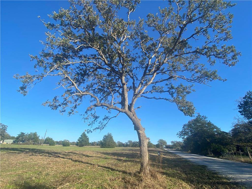 5.19 Acres Ott RD #8,  Rosanky,  TX 78953