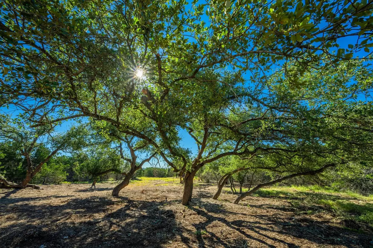 Harper, TX 78058,Rustic Ridge Gillespie Ridge