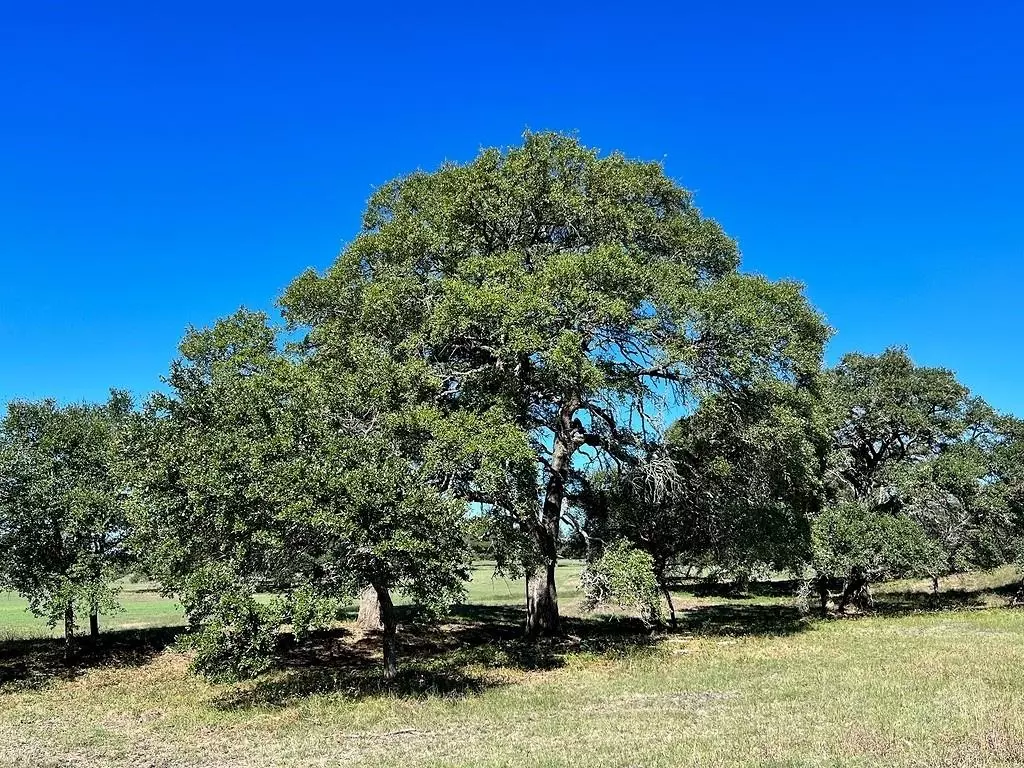 Brenham, TX 77833,TBD Affleck (9 ac) RD