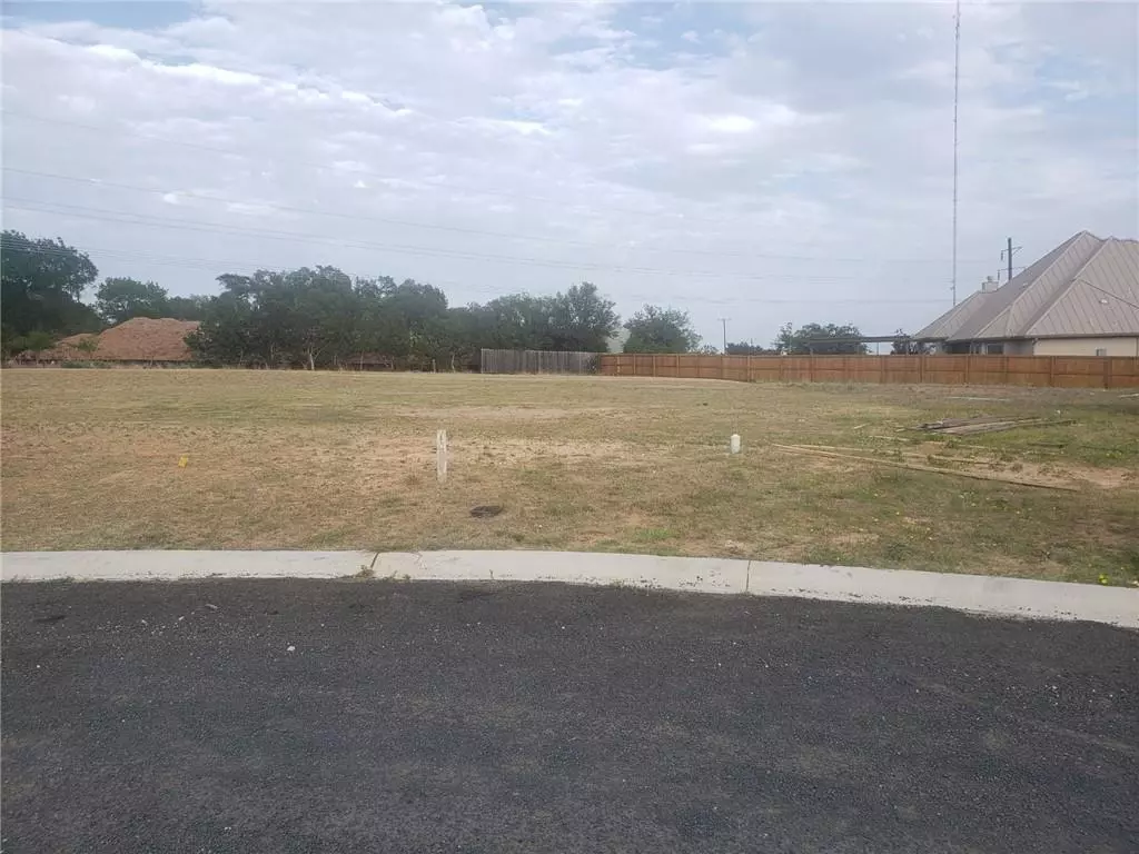 Fredericksburg, TX 78624,607 Gibson CT