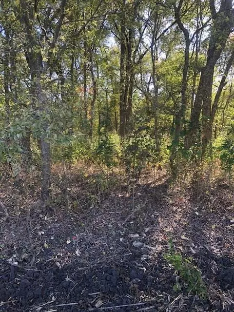 Taylor, TX 76574,0 County Rd 405