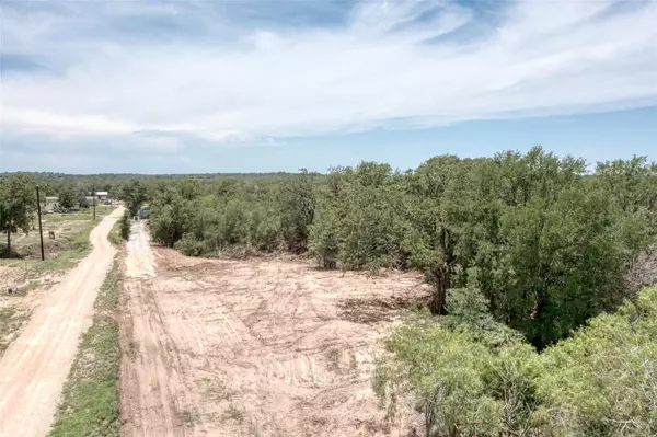 Cedar Creek, TX 78612,TBD Walter Hoffman RD