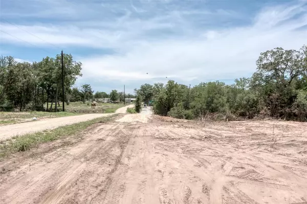 Cedar Creek, TX 78612,TBD Walter Hoffman RD