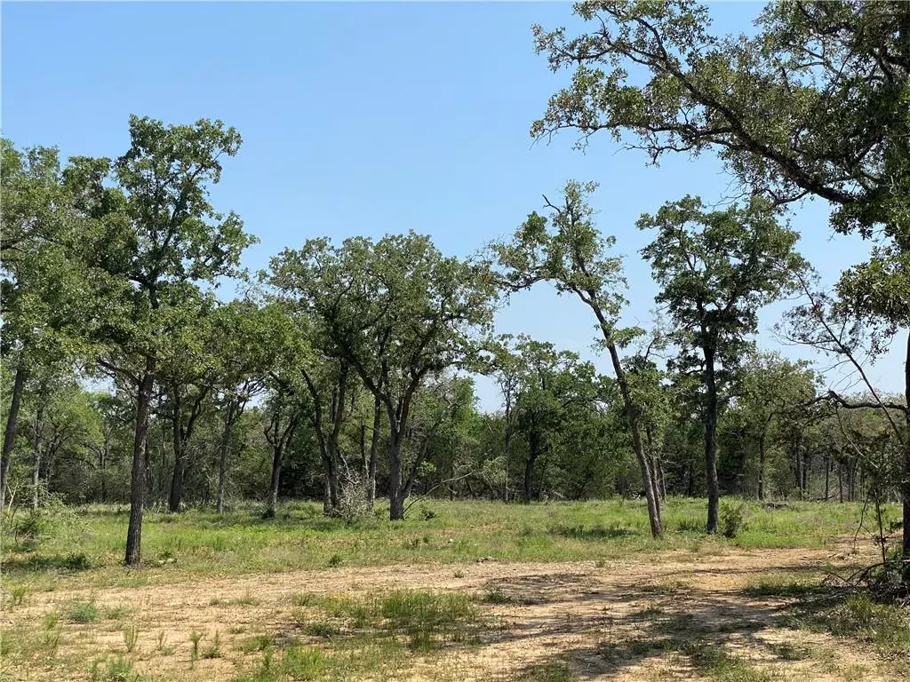 Smithville, TX 78957,TBD High Crossing Rd - TRACT 5