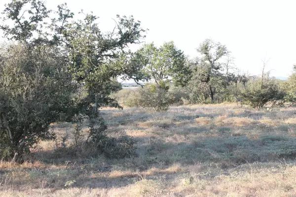 Burnet, TX 78611,tbd Wolf Creek Rand RD