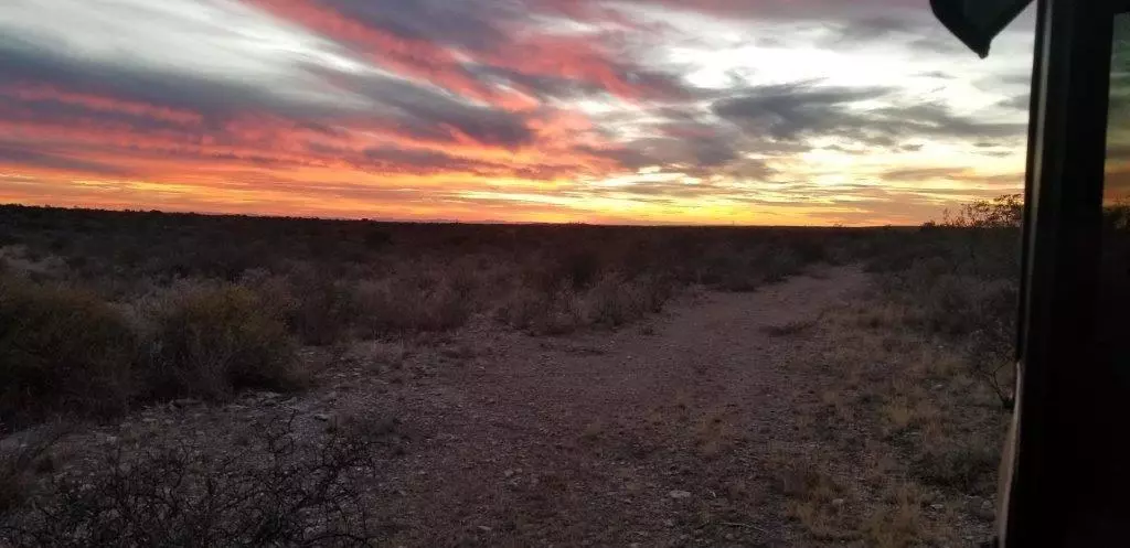 Del Rio, TX 78837,782 Lobo TRL