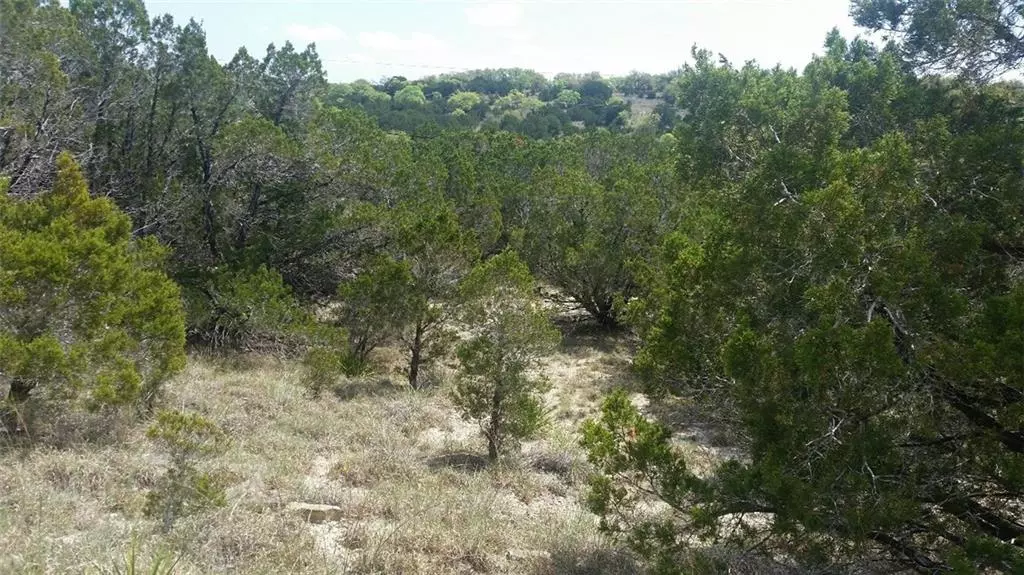 Lago Vista, TX 78645,4907 Outpost TRCE