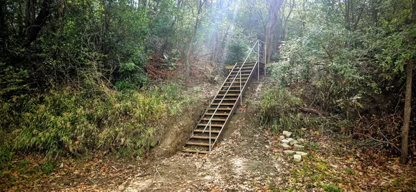 Smithville, TX 78957,503 Colorado ST