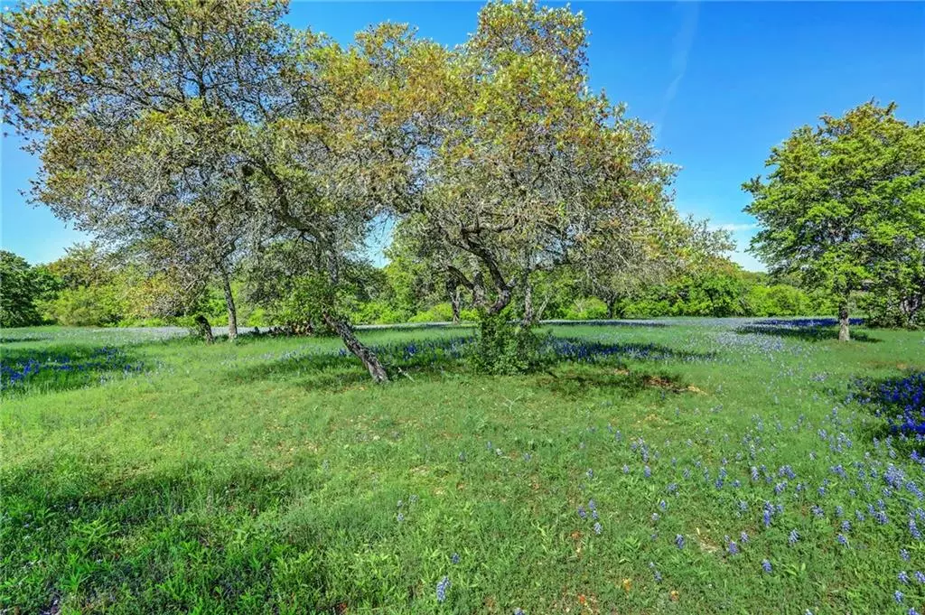 Spicewood, TX 78669,25815 CLIFF CV