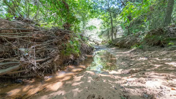 Milano, TX 76556,0000 CR 330