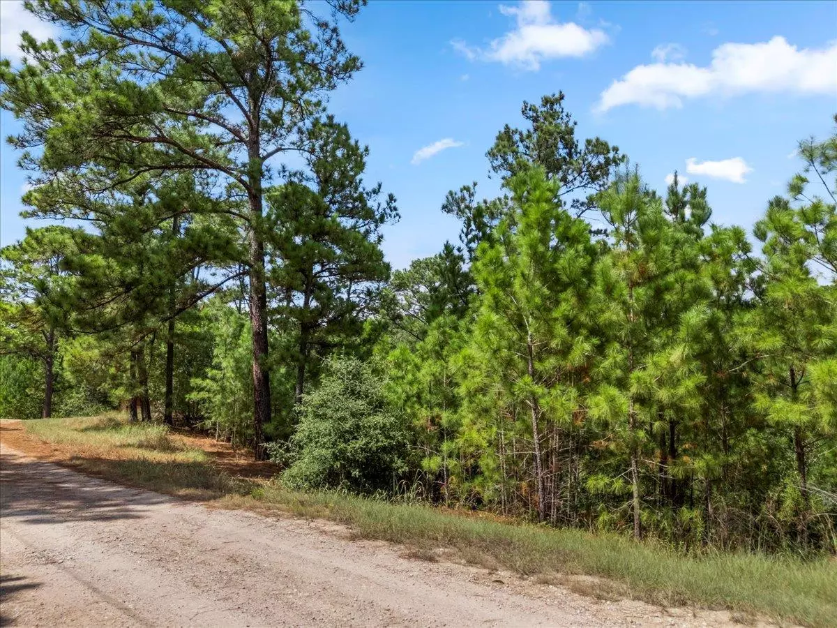 Bastrop, TX 78602,Lot 986 Kailua L LN