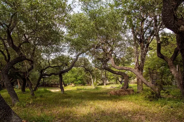 Austin, TX 78736,13127 Fitzhugh RD