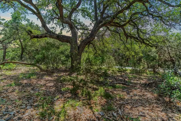 Wimberley, TX 78676,1001 Bluff View RD