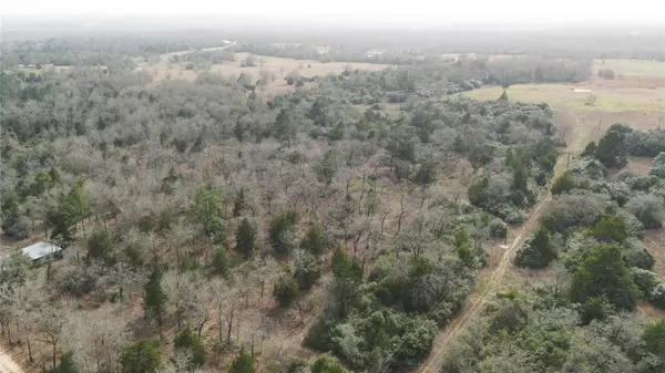 Milano, TX 76556,363 Private Road 3745