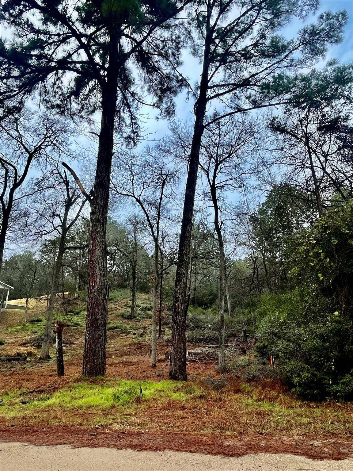 Bastrop, TX 78602,122 Helemano DR