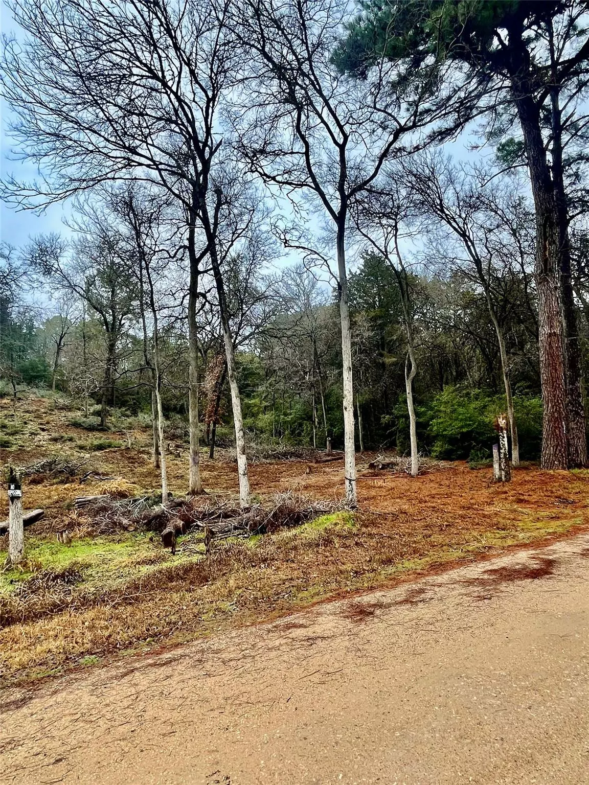 Bastrop, TX 78602,122 Helemano DR