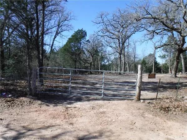 716 St. Delight RD, Paige, TX 78659